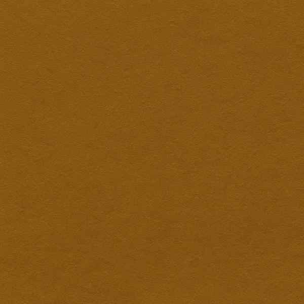219 Gold Digger - Image 2